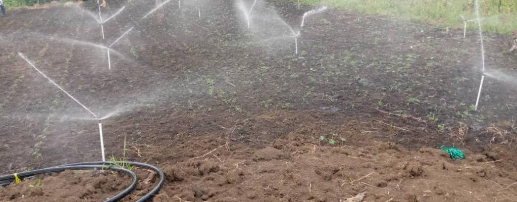 Irrigation scheeme